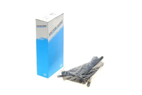 Комплект болтів гбц REINZ 14-32309-02 VICTOR REINZ 143230902