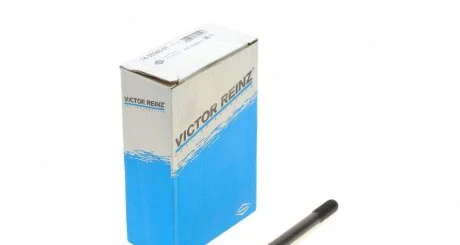 Комплект болтів гбц VICTOR REINZ 145504001