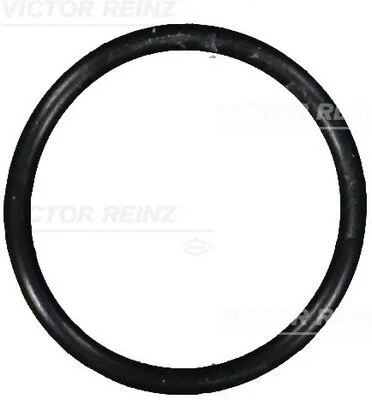 Ущільнююче кільце REINZ 40-76101-00 VICTOR REINZ 407610100 (фото 1)