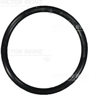 Ущільнююче кільце REINZ 40-76101-00 VICTOR REINZ 407610100