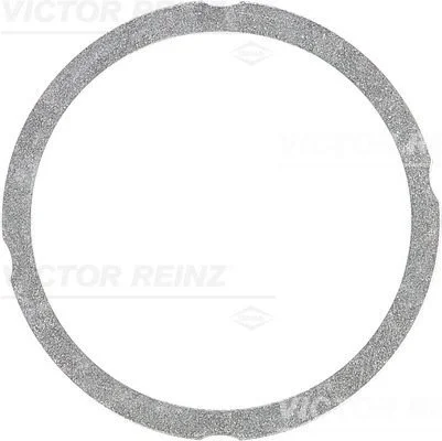 Прокладка головки блоку VICTOR REINZ 612547530 (фото 1)