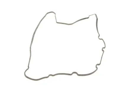 Прокладка клапанної кришки REINZ 71-34404-00 VICTOR REINZ 713440400