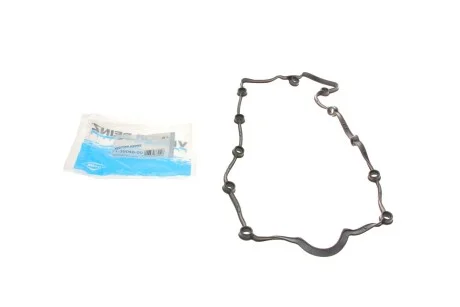 Ущільнення, Кришка Голівки Циліндра REINZ 71-36048-00 VICTOR REINZ 713604800