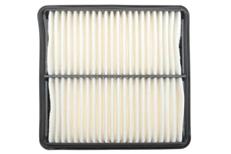 Фільтр повітря WIX FILTERS WA6250