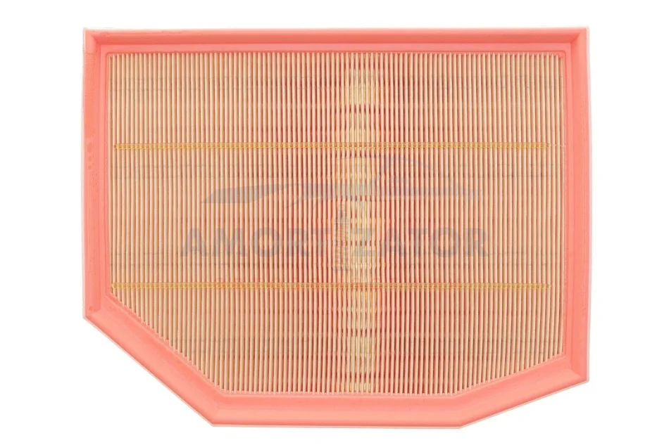 ФІЛЬТР ПОВІТРЯ WIX FILTERS WA9611 (фото 1)