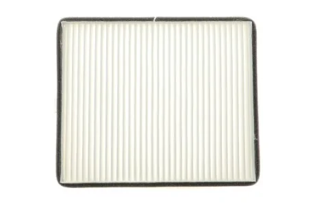 Фільтр салону WUNDER FILTER WP 690
