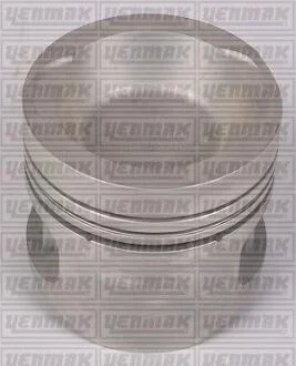 Поршень с кольцами і пальцем (размер отв. 75.01 / STD) (2G) YENMAK 3103299000