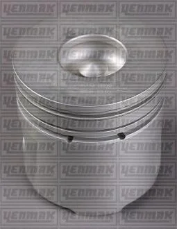 Поршень с кольцами і пальцем (размер отв. 93.67 / STD) FORD Transit 2.5DI -00 (4цл.) (89 MY 2,5 Lt, M4 T-6110 AA) YENMAK 3103426000