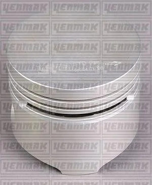 Поршень с кольцами і пальцем (размер отв. 76,00/STD) RENAULT Rapid/19/Super 5 1,4 -94 (C 1/2/3/16 J) YENMAK 3103904000 (фото 1)