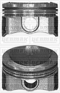 Поршень з кільцями і пальцем (розмір отв. 75,00/STD) CITROEN C-Elysee 1,2VTi YENMAK 3104105000 (фото 1)