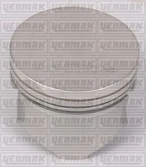Поршень с кольцами і пальцем RENAULT Kangoo 1.2 (размер отв. 69 / STD) (DF 7 700/701/702/706/710/720/722/726/720/730/726) YENMAK 3104155000