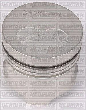 Поршень с кольцами і пальцем (размер отв. 80 / STD) (F8 Q.706 64PS) YENMAK 3104161000 (фото 1)