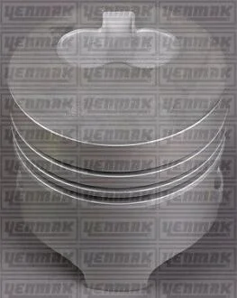 Поршень с кольцами і пальцем (размер отв. 80,00/STD) RENAULT Kangoo 1.9D (F8Q.630/632/662) YENMAK 3104163000
