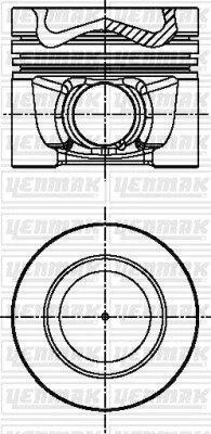 Поршень с кольцами і пальцем (размер отв. 81.01/STD) VW T-V/VI, Amarok, Golf V/VI/Plus, 2.0TDI 05-, AUDI, SKODA, (CBBB) YENMAK 3104341000 (фото 1)