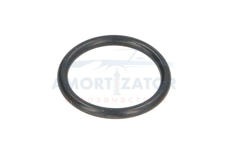 Ущільнююче кільце коробки передач 17xx2мм 2 HL 100 T 7113 L T 7200 ZF 0634306198 (фото 1)